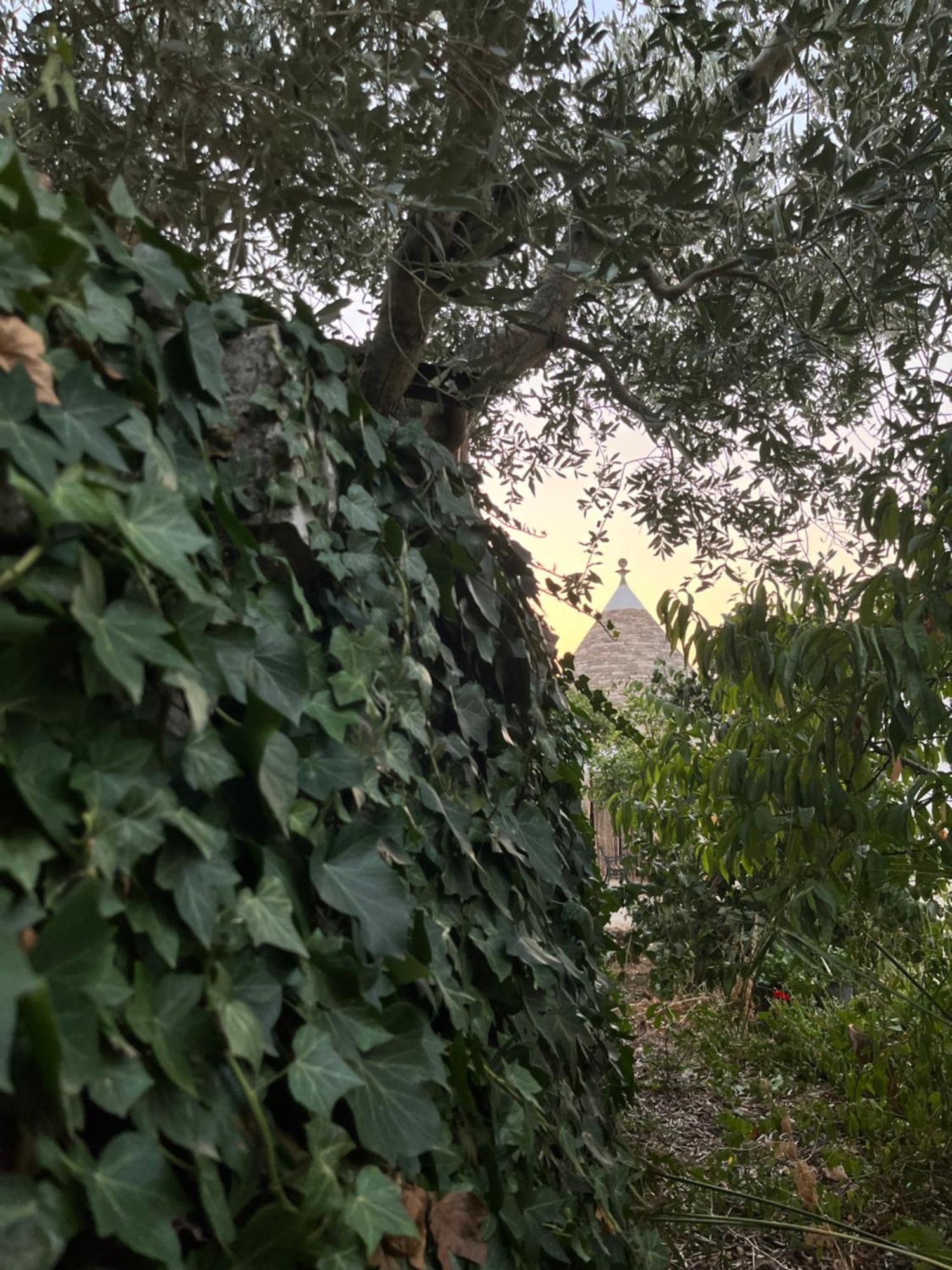 Borgo Miceli Da Giovanni Locorotondo Esterno foto