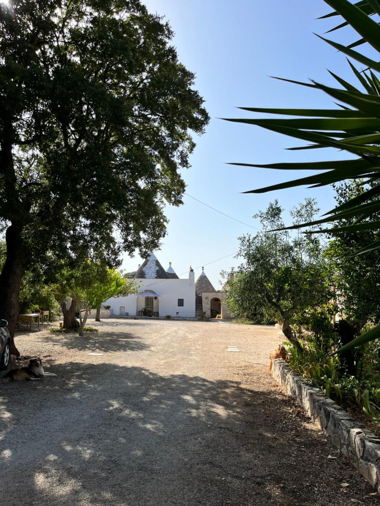 Borgo Miceli Da Giovanni Locorotondo Esterno foto