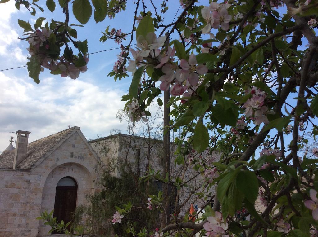 Borgo Miceli Da Giovanni Locorotondo Esterno foto